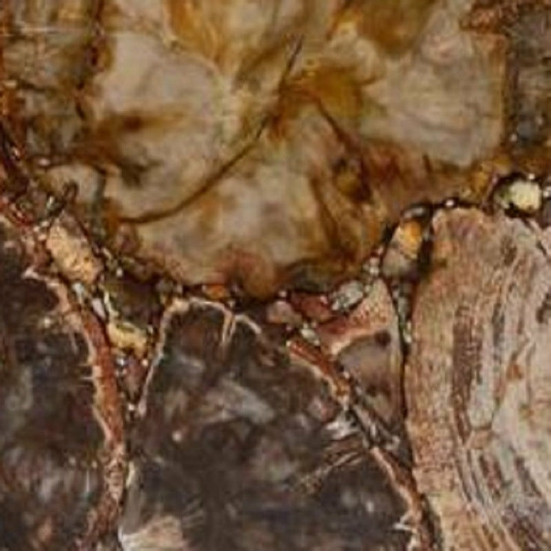 Mike and Ally Taj Premium Gemstone Bath Accessories Petrified Wood