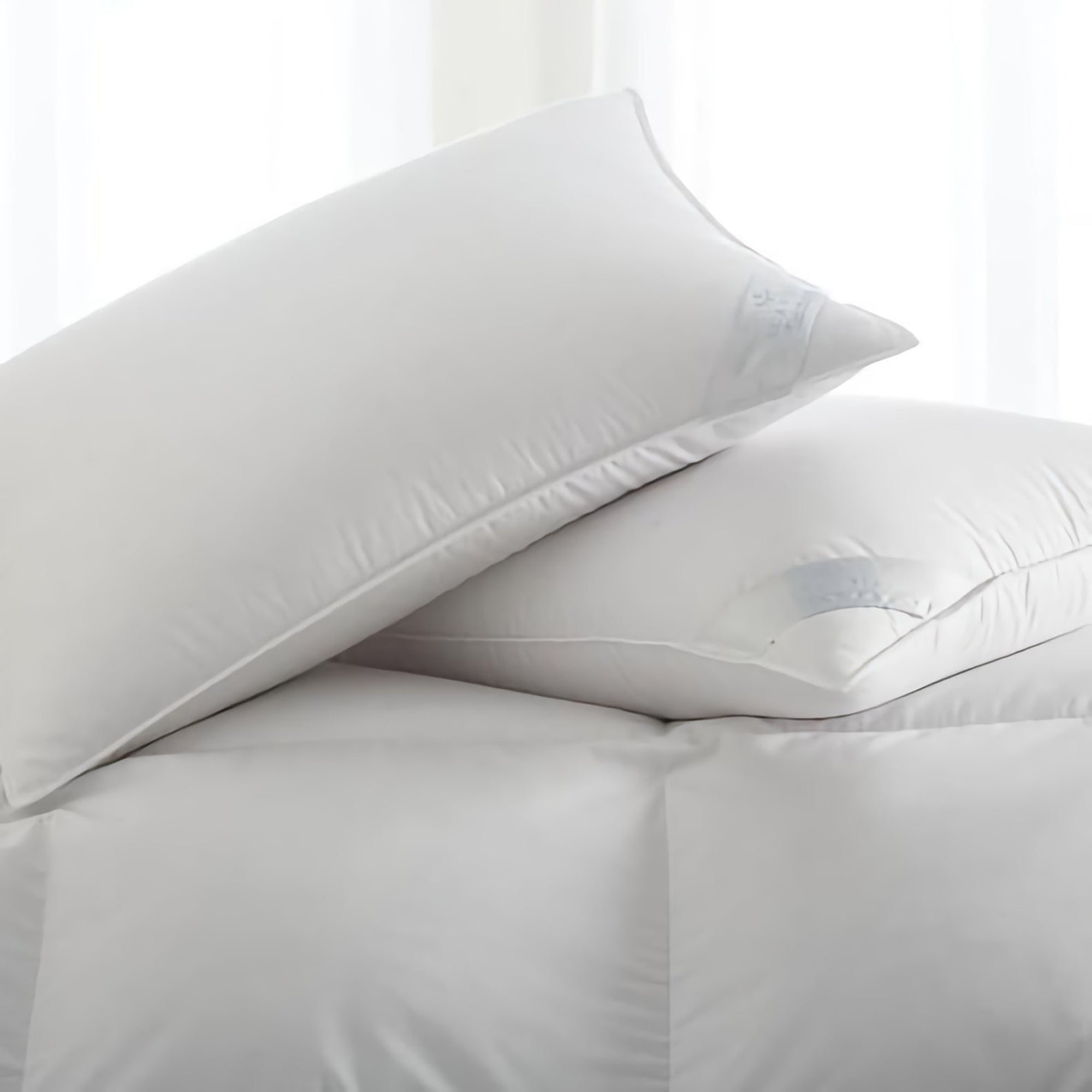 Scandia Home Salzburg Polish White Goose Down Pillow Fine Linens