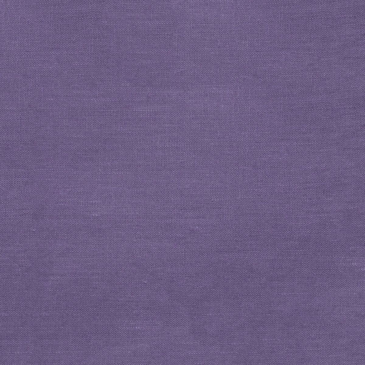Sferra Festival Color Swatch Sample Purple