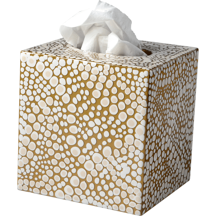 Mike and Ally Proseco Bath Accessories Tissue Boutique Oatmeal/Gold